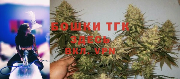 тгк Богородск