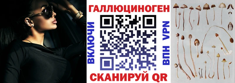 цены наркотик  Наволоки  Псилоцибиновые грибы мухоморы 